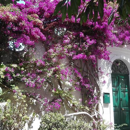 Appartamento Il Gelso Anacapri  Esterno foto